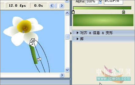 Flash繪畫技巧實例:鼠繪好看的水仙花