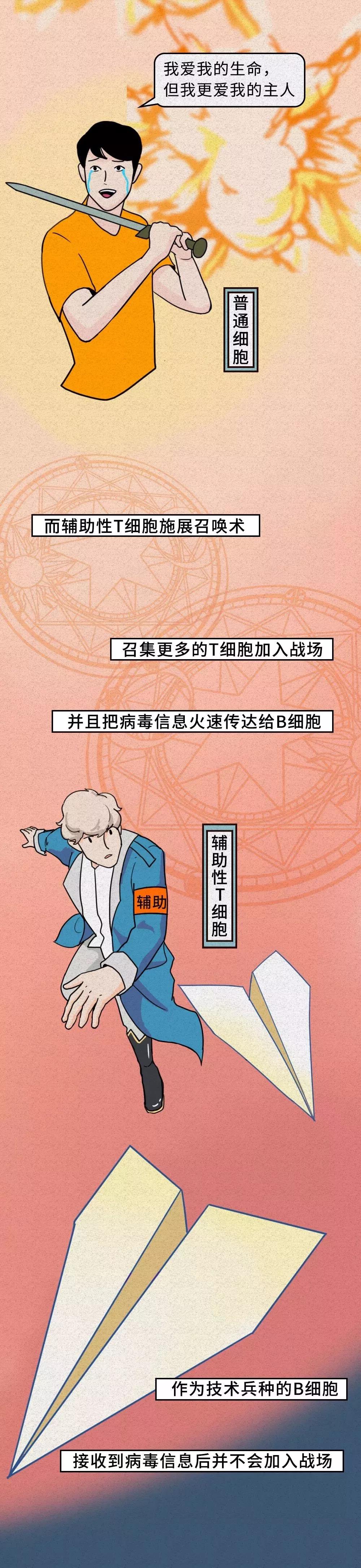 普通細(xì)胞如何面對新型冠狀病毒.jpg