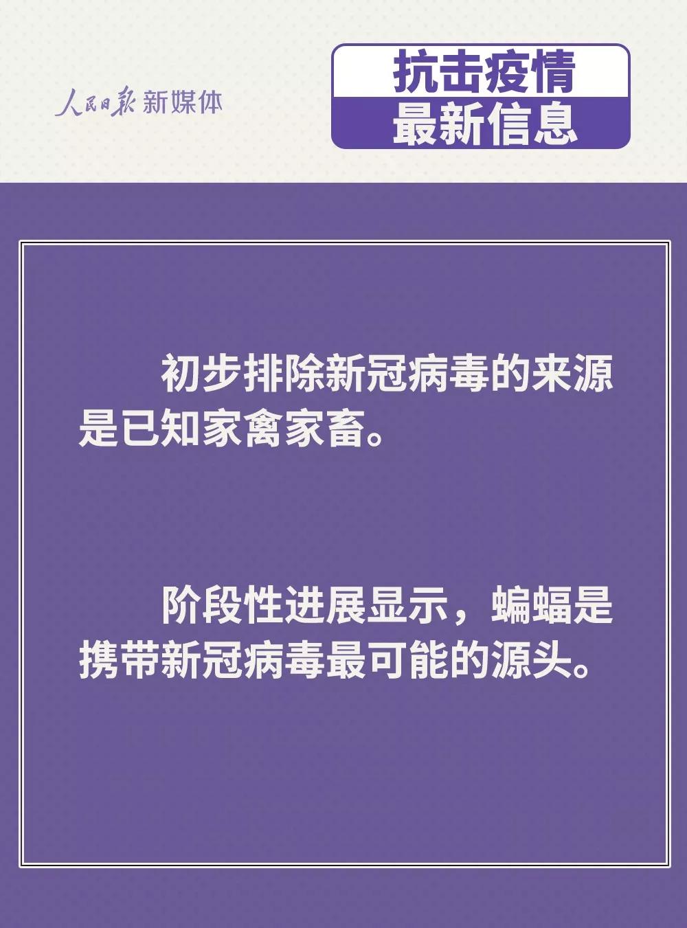 防控新型冠狀病毒：雞鴨會(huì)傳播病毒？疫苗研究得怎樣？.jpg