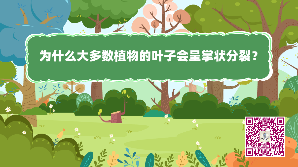 十萬個為什么標題（植物的葉子）1200.png