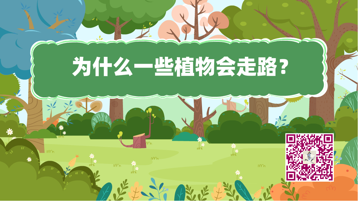 十萬個為什么標題（植物走路）1200.png