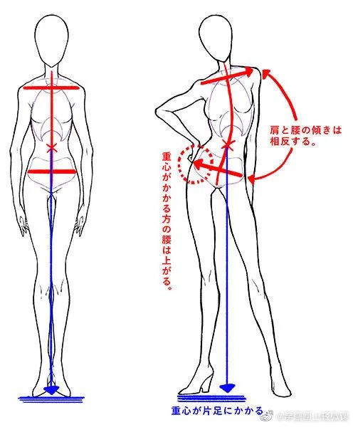 人體動勢線與姿勢參考，學(xué)畫畫收藏不虧