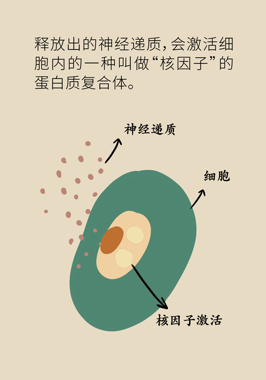 癌癥與睡眠都有那些關系？