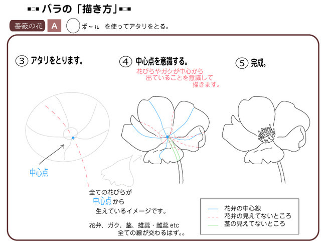 各種花的簡(jiǎn)單畫(huà)法，一步一步教你畫(huà)鮮花