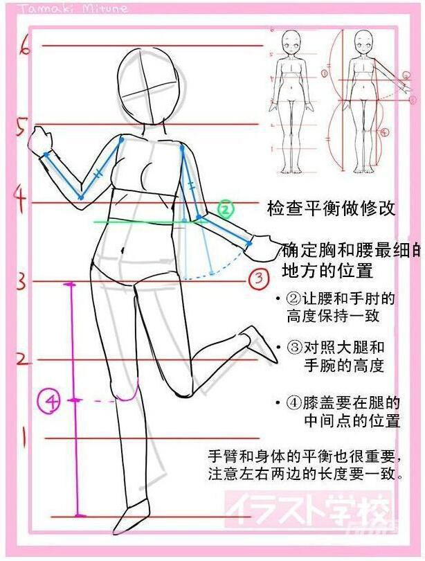 動(dòng)漫女生頭身比怎么畫？動(dòng)漫女生頭身比畫法教程五.jpg