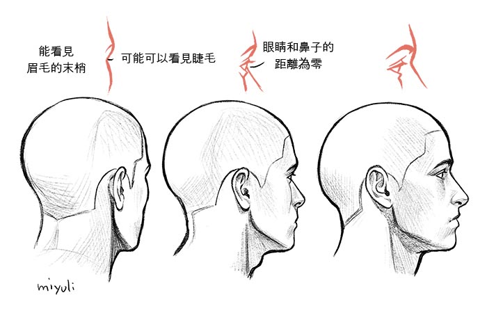 從側(cè)面的狀態(tài)觀看時，人物轉(zhuǎn)向另一側(cè)後，就只能看見眉毛和睫毛.jpg