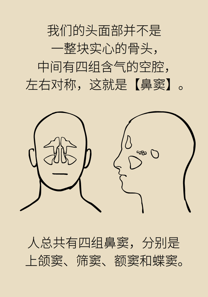 為什么鼻竇發(fā)炎，疼的卻是頭、眼和牙？