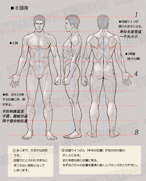 零基礎學繪畫教程！如何正確掌握繪畫人體結構？