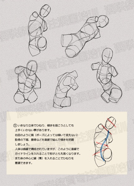 零基礎學繪畫教程！如何正確掌握繪畫人體結構？