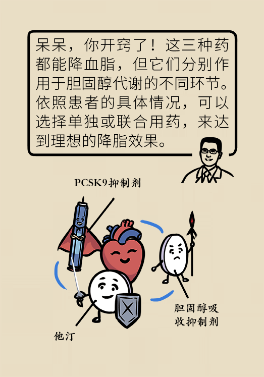 心梗動(dòng)漫科普：血脂都正常就萬(wàn)事大吉了嗎？