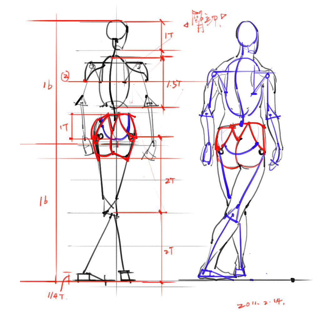 「動漫設計」分享一波繪畫專用人體解剖素材 part 02