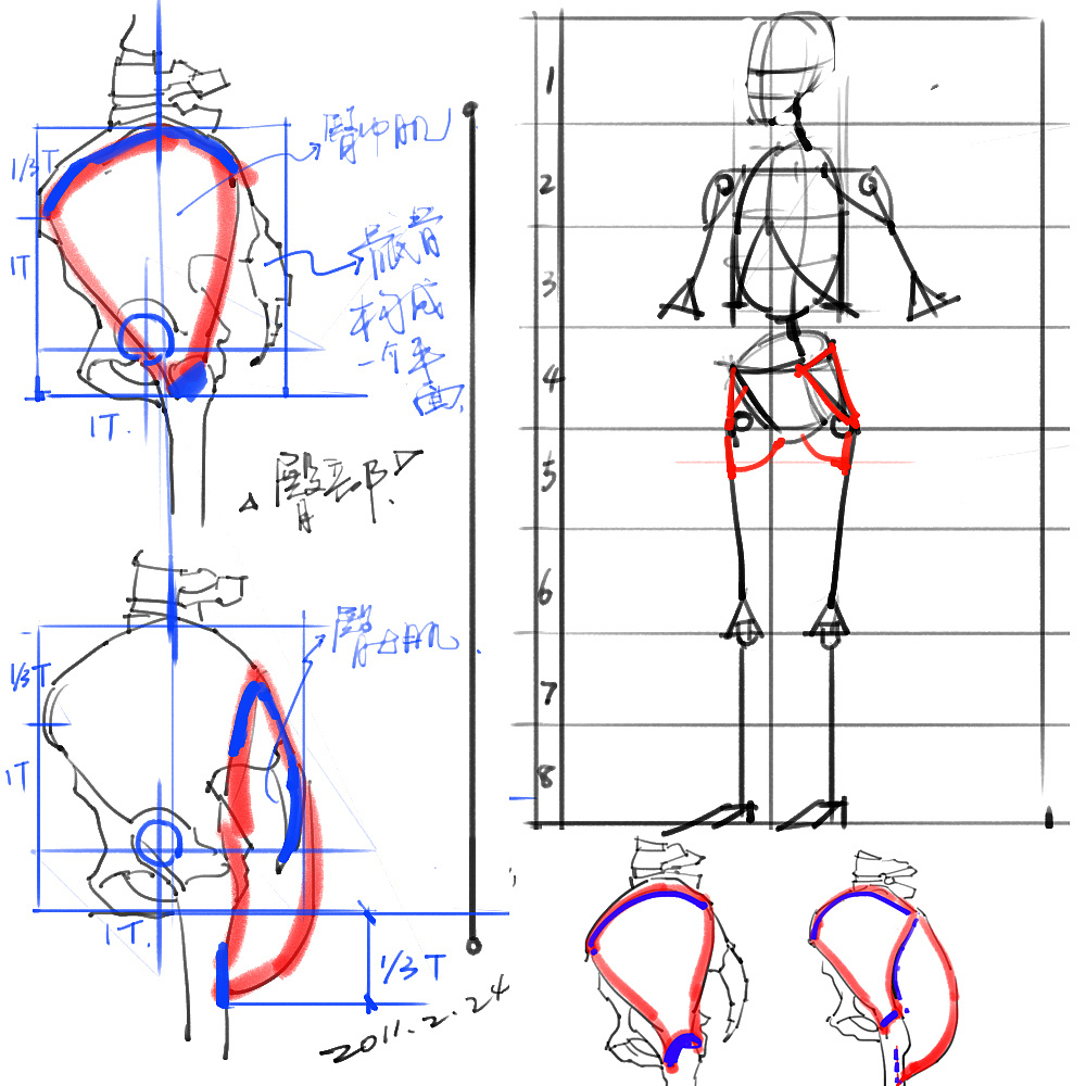 「動漫設計」分享一波繪畫專用人體解剖素材 part 02