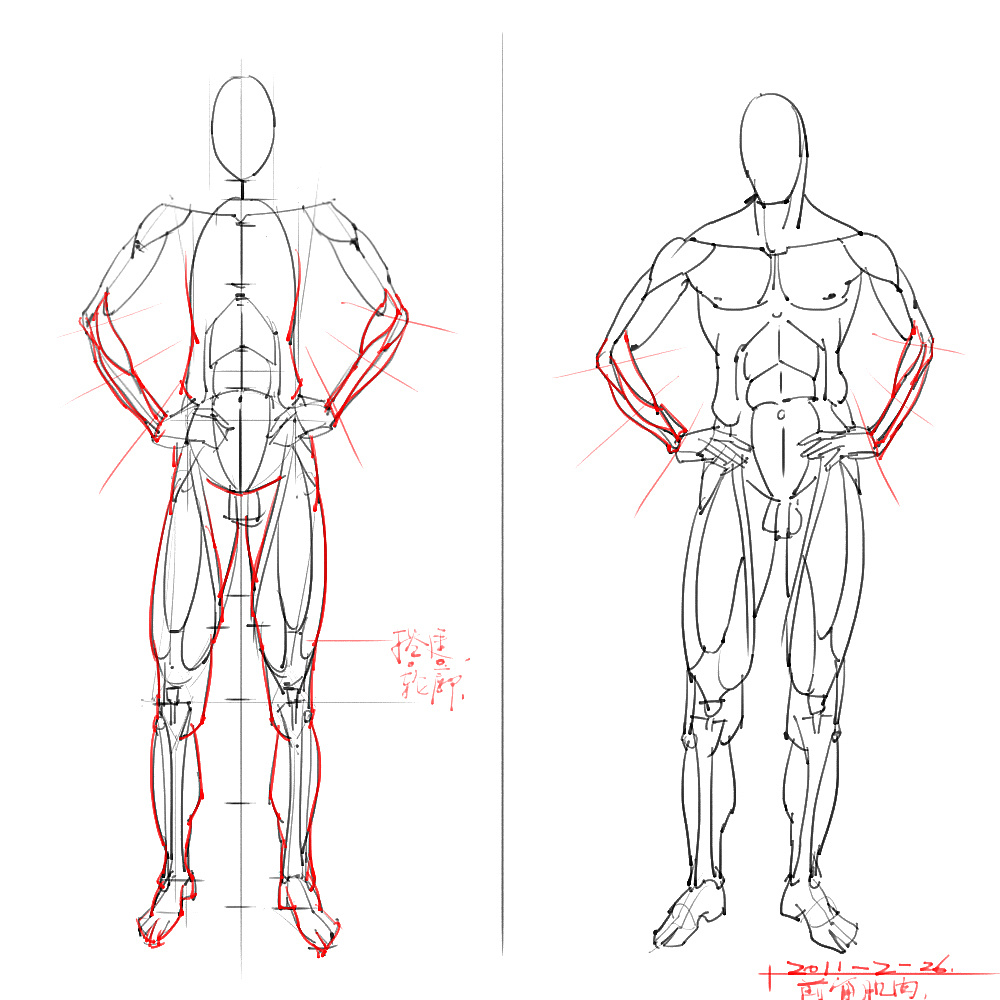 「動漫設計」分享一波繪畫專用人體解剖素材 part 06