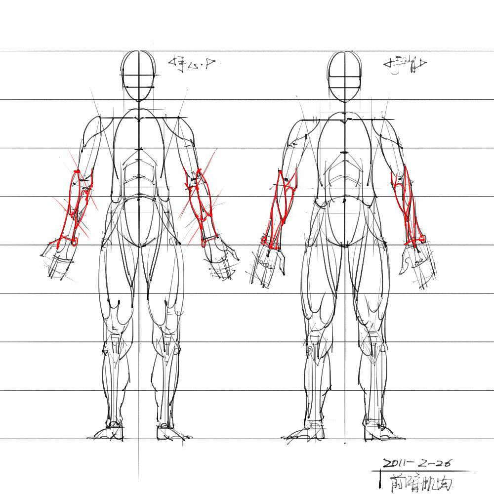 「動漫設計」分享一波繪畫專用人體解剖素材 part 06