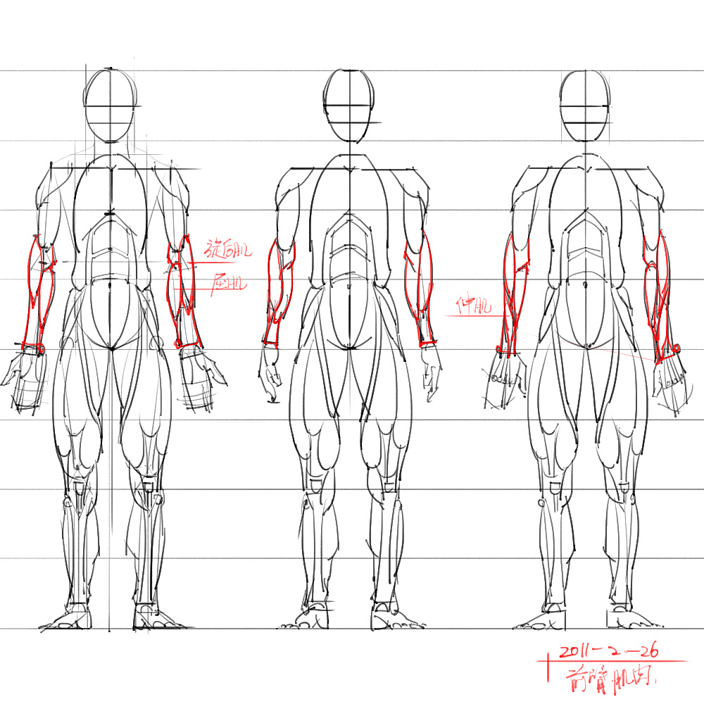 「動漫設計」分享一波繪畫專用人體解剖素材 part 06
