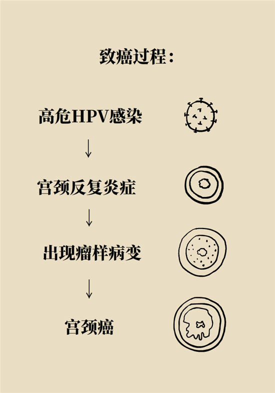 癌癥會傳染嗎？專家：這些高危因素得注意