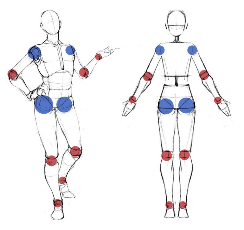 「動漫設(shè)計」人體繪畫進階 part 02 四大點八小點