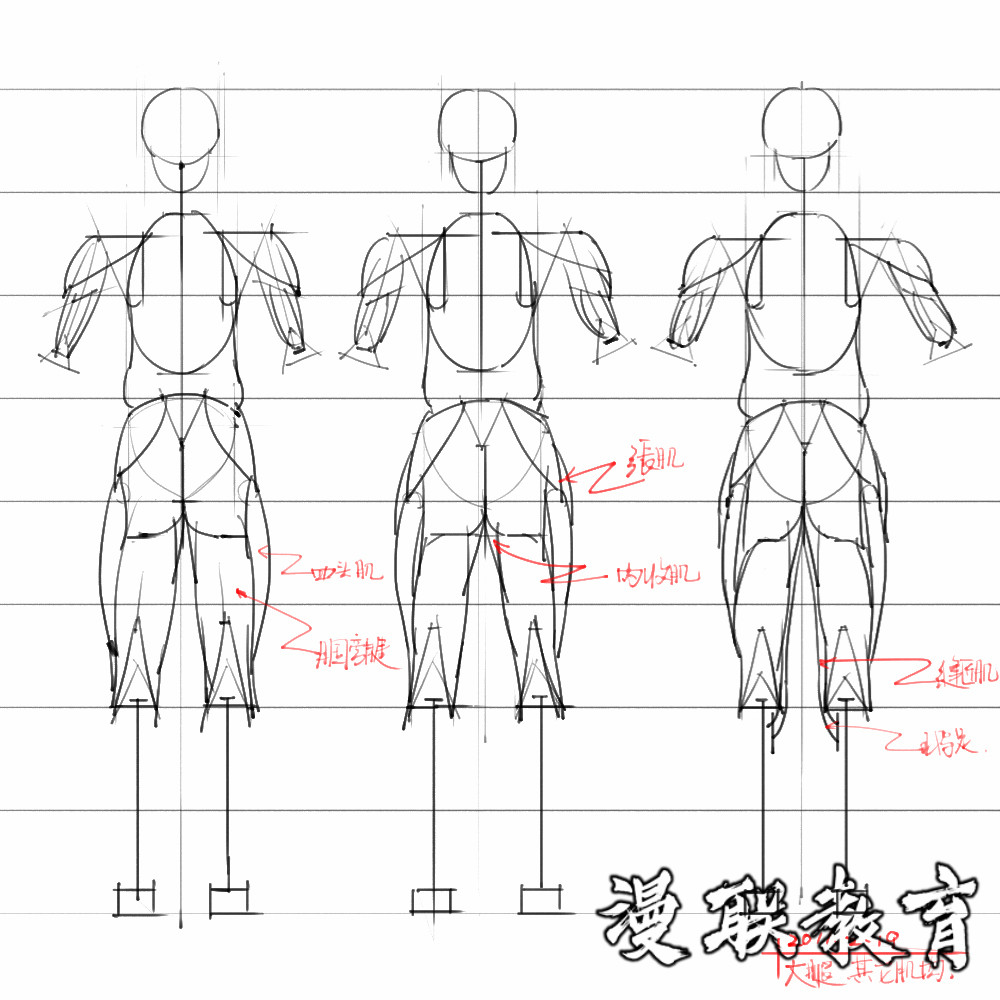 「動漫設計素材」分享一波繪畫專用人體解剖素材 part 08