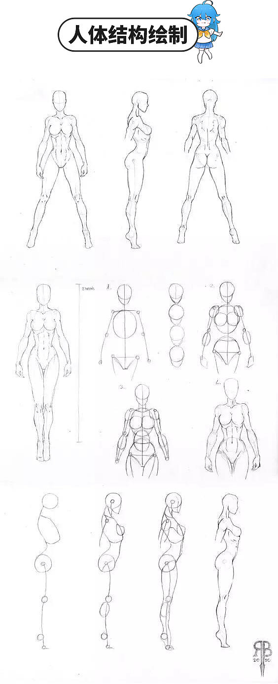 動漫人體結構繪制與參考素材
