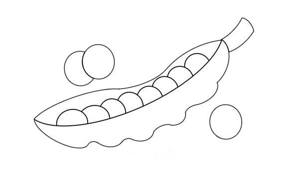 彩色豌豆簡(jiǎn)筆畫(huà)畫(huà)法圖片