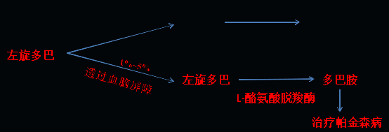 同樣的藥，為什么對他有效卻對你沒效果，可能得問腸道菌群