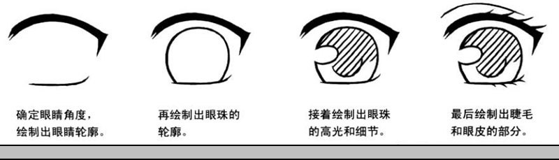 下面我們來介紹仰視眼睛的簡單繪制步驟.jpg