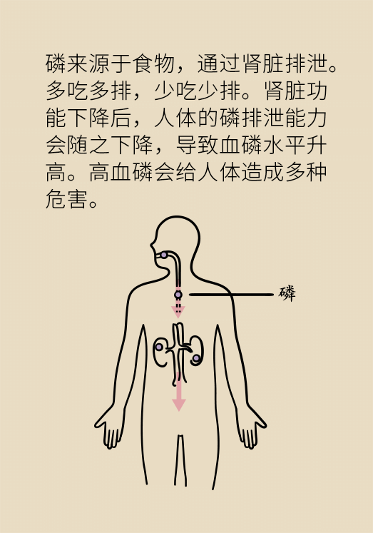 腎科普動(dòng)漫制作