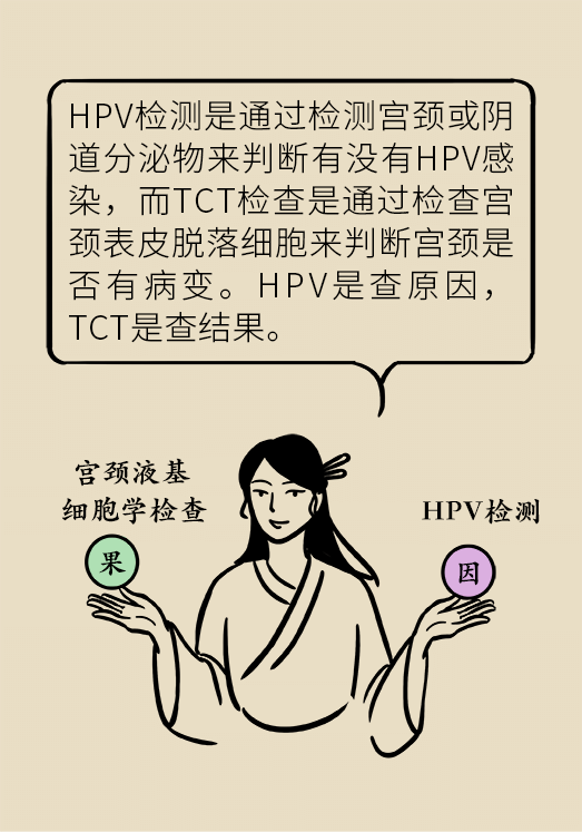 hpv宮頸癌醫(yī)學(xué)科普