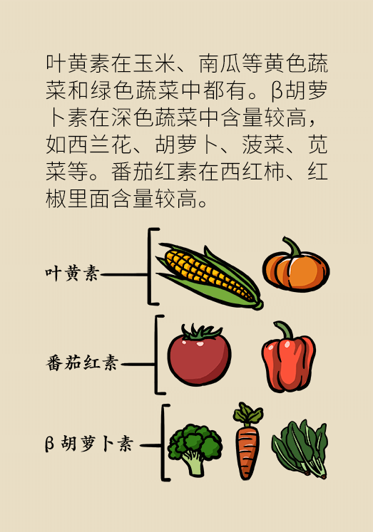 剩菜醫(yī)學(xué)知識科普動漫制作