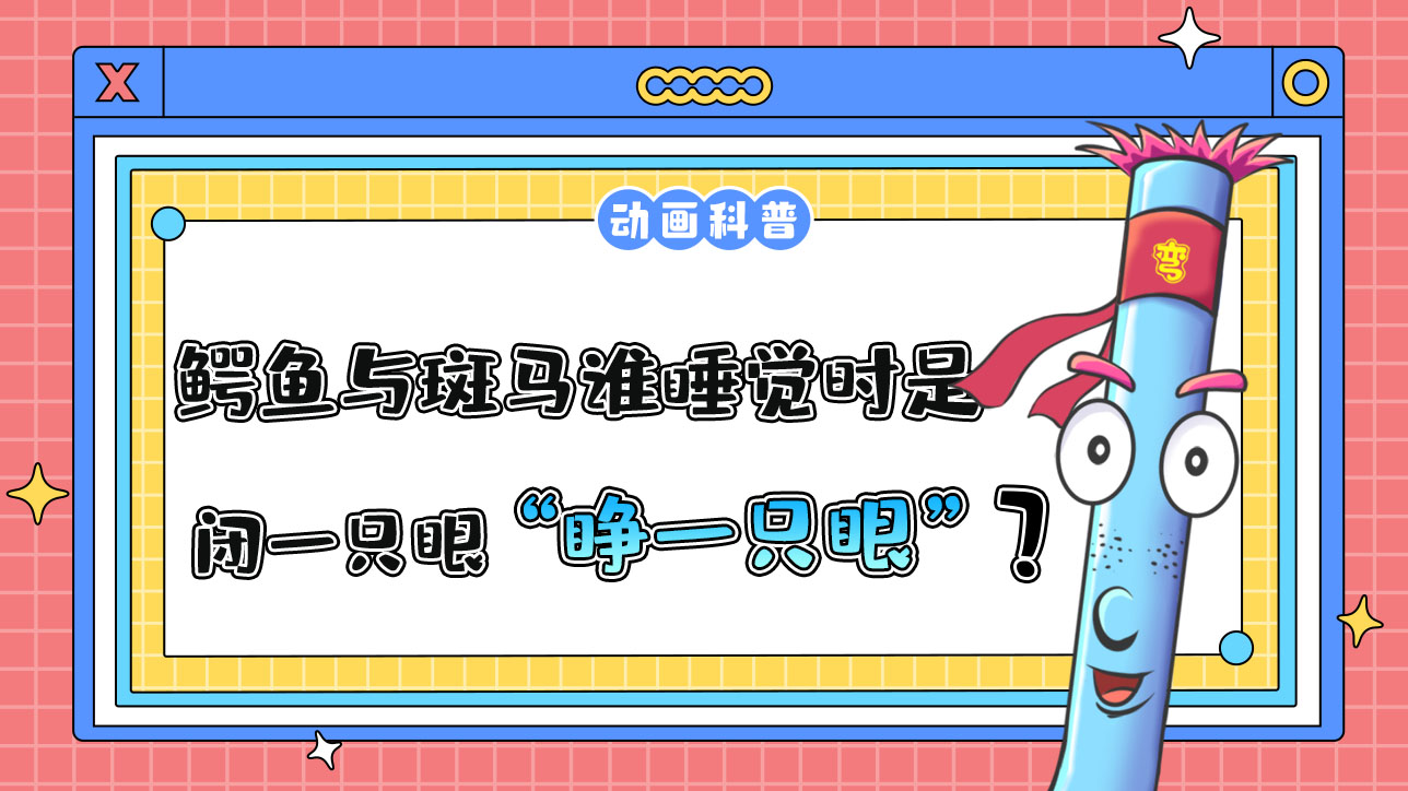 鱷魚與斑馬誰睡覺時是“睜一只眼閉一只眼”？.jpg