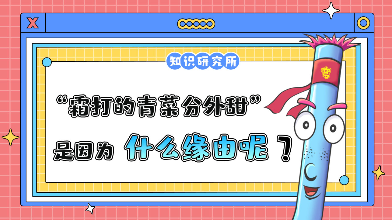 俗話說“霜打的青菜分外甜”，是因?yàn)槭裁茨兀?jpg